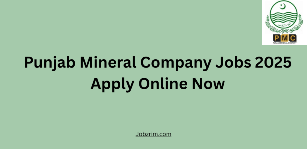 Punjab Mineral Company Jobs 2025
