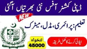 Deputy Commissioner DC Office Jobs