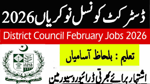 District Council Punjab Jobs 2026