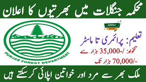 Forest Department Punjab Jobs