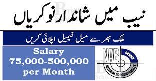 National Accountability Bureau NAB Jobs 2026