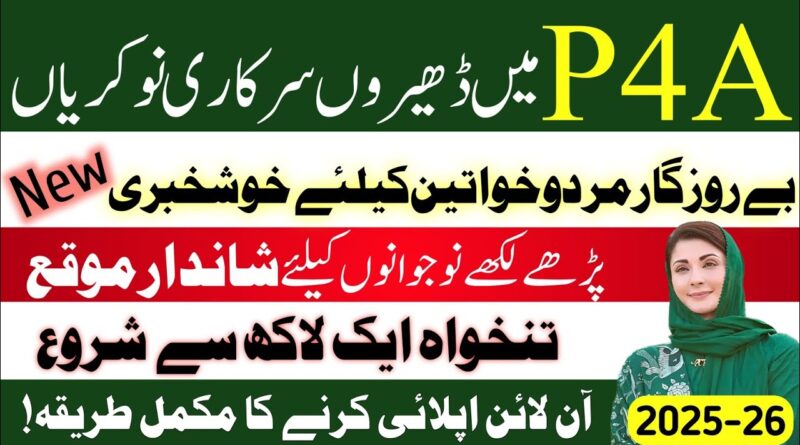 Punjab Public Private Partnership Authority Jobs