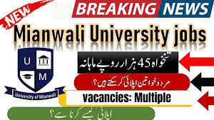 University Of Mianwali Jobs