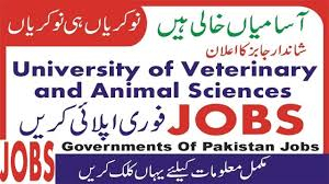 University of Veterinary and Animal Sciences UVAS Jobs