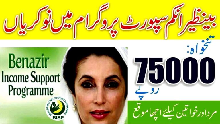 Benazir Income Support Program BISP Jobs