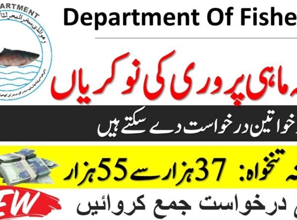 Department of Fisheries Punjab Jobs