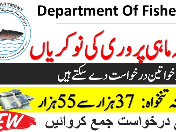 Department of Fisheries Punjab Jobs