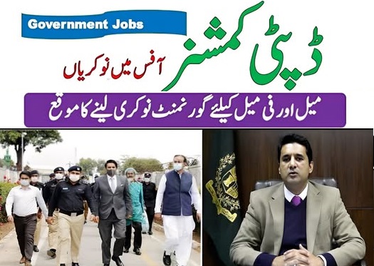 Deputy Commissioner DC Office Jobs