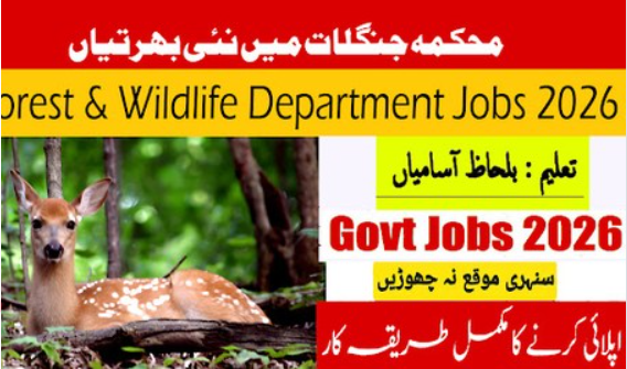 Forest & Wildlife Department Sindh Jobs