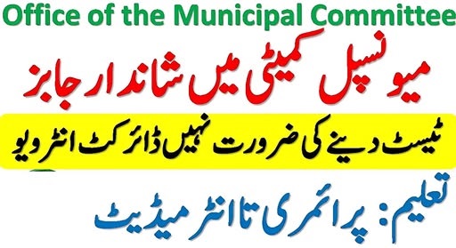 Municipal Committee Jobs
