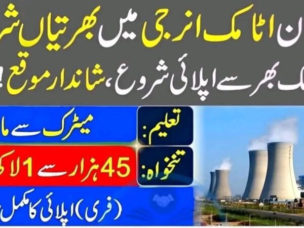 Pakistan Atomic Energy Commission PAEC Jobs