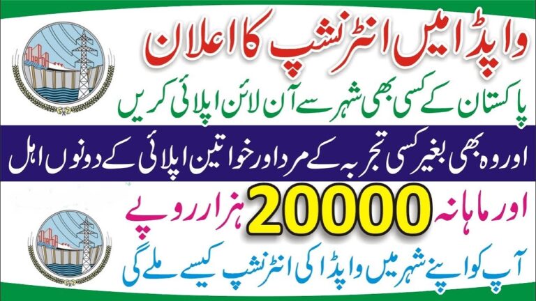 WAPDA Internship Program