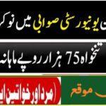 Women University Swabi Jobs